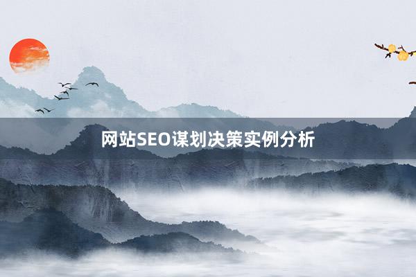 网站SEO谋划决策实例分析